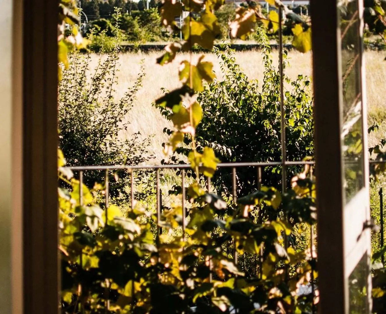 *** Bed & Breakfast Buonocore Guesthouse Bergamo Italy